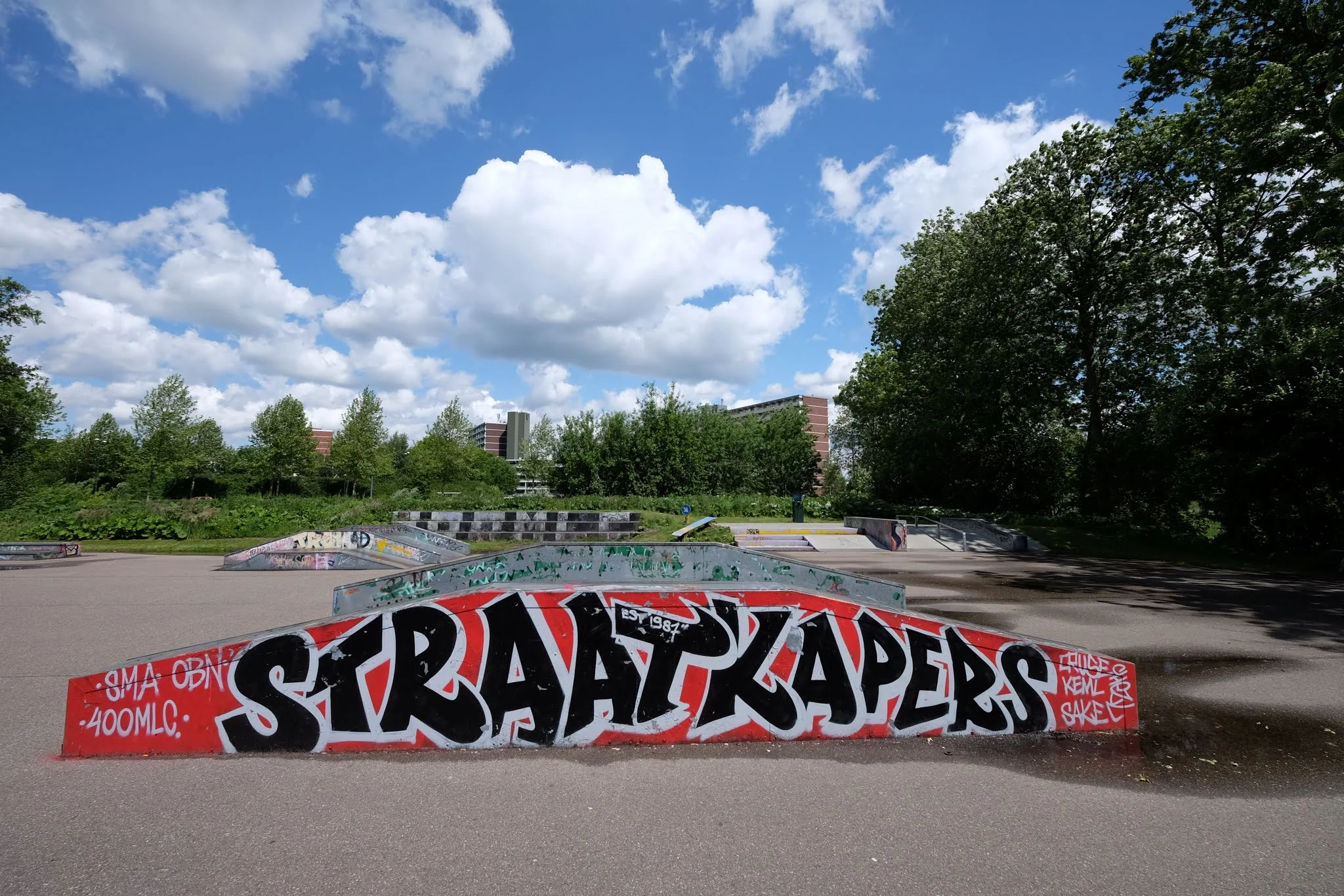 Foto de Skatepark Skatebaan Veenendaal en Veenendaal