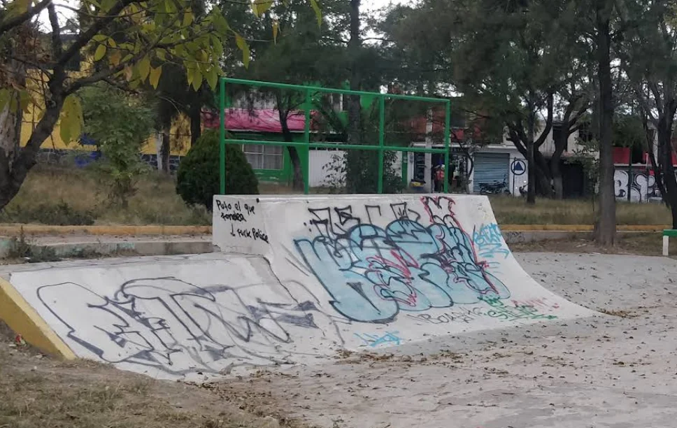 Foto 3 de 3 de Skatepark Bosque park