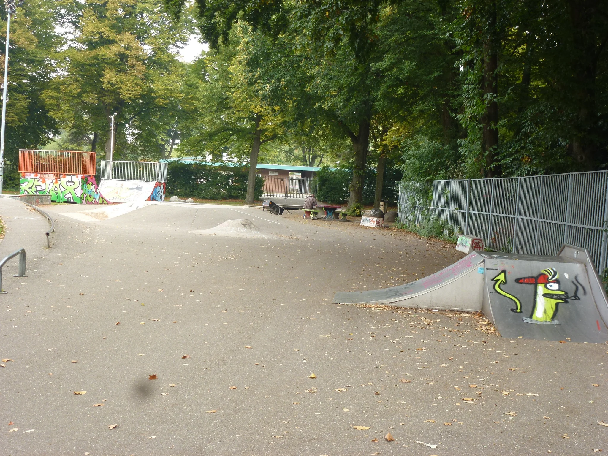 Foto 2 de 2 de Skatepark de Goffert