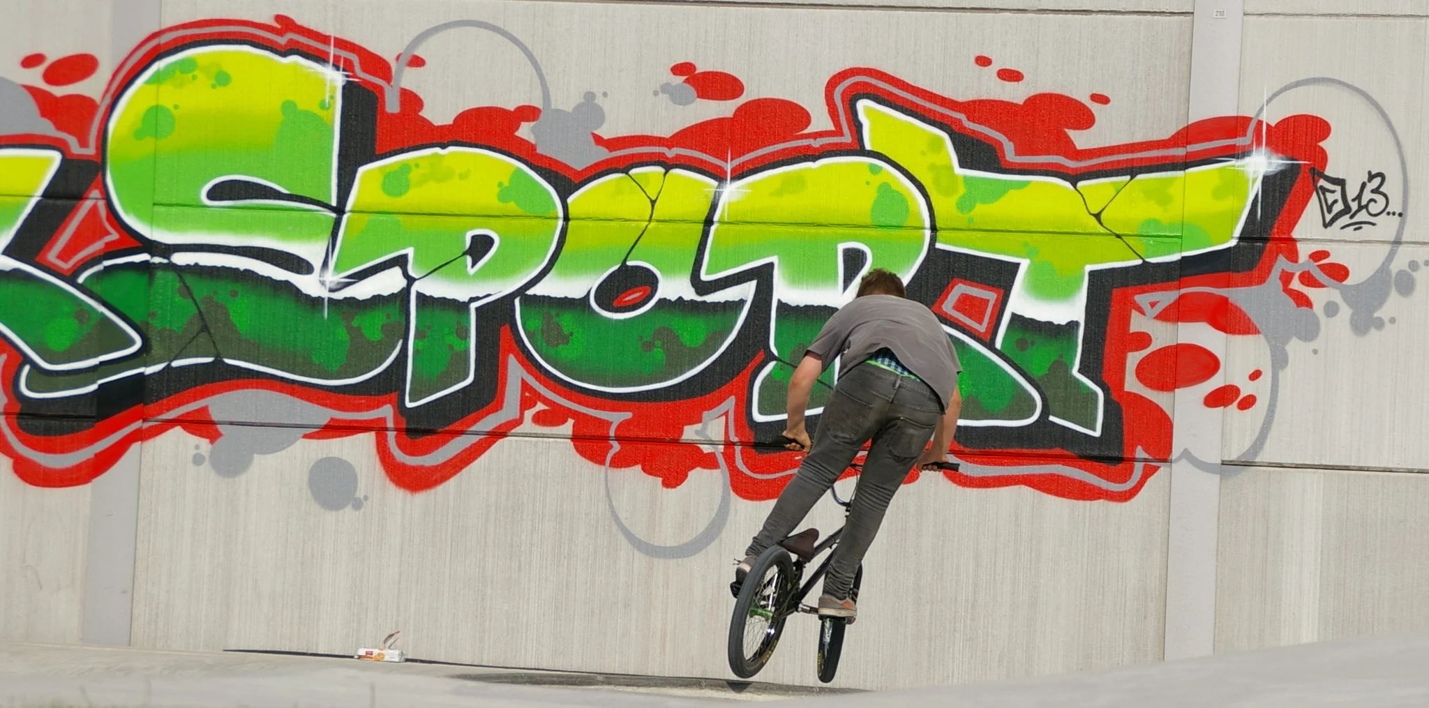 Foto de Skatepark Wilhelmsburg en Hamburg-Mitte
