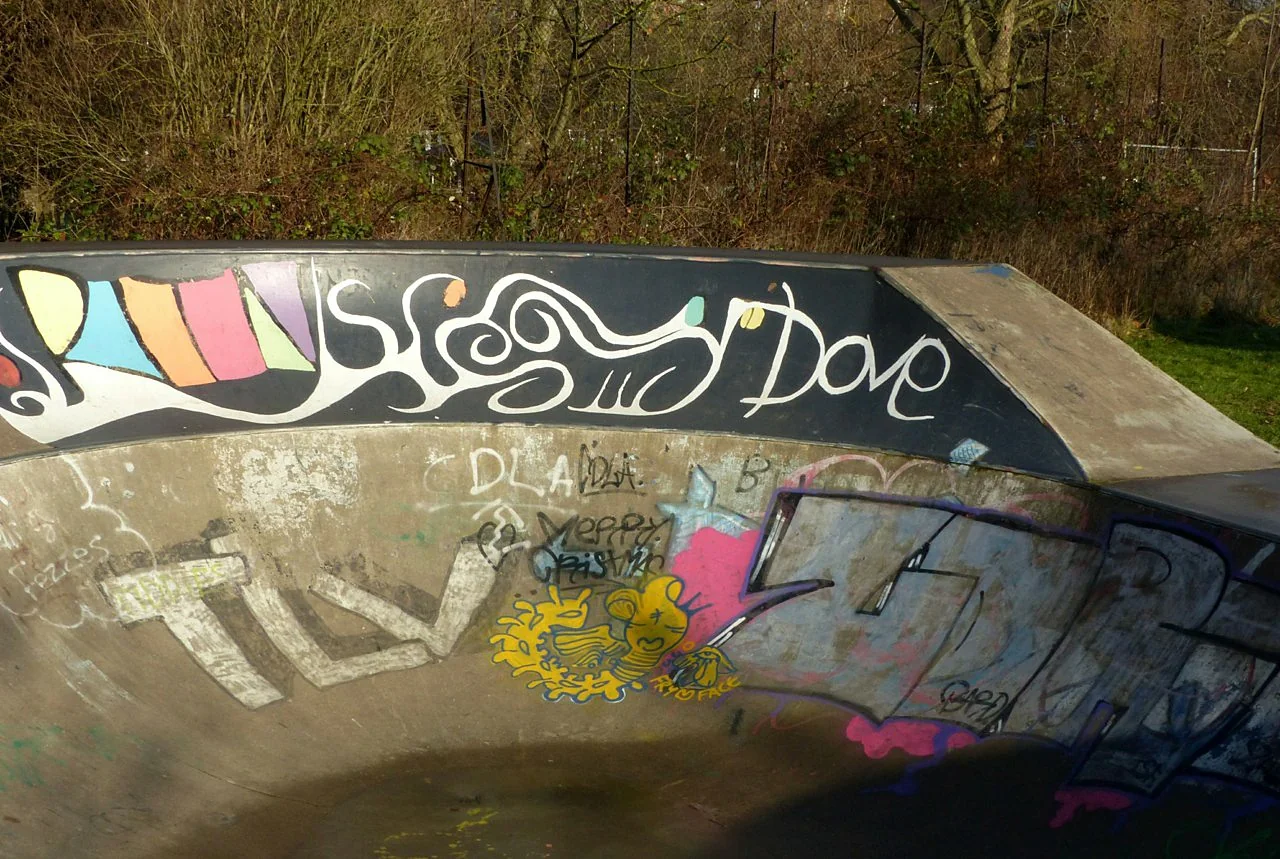 Foto 2 de 2 de Valley Road Park skate park