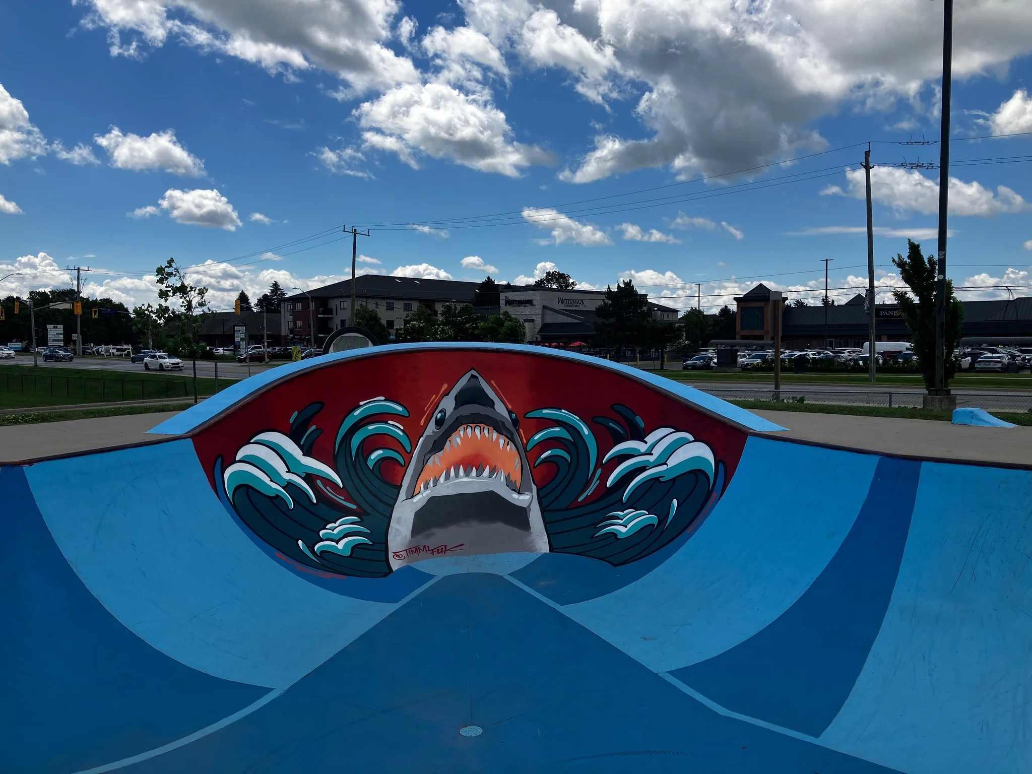 Foto de Waterdown Skatepark en Hamilton