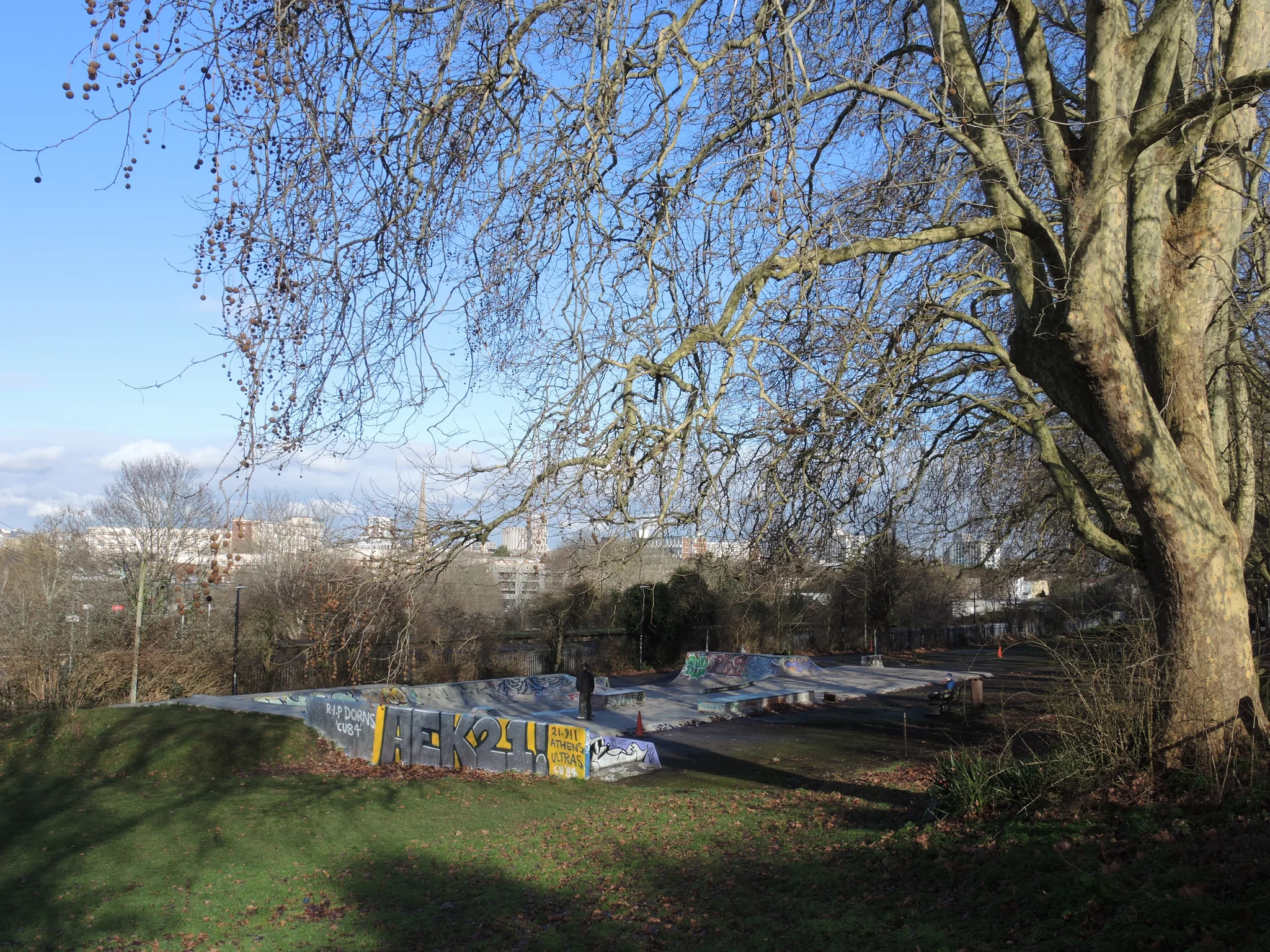 Foto 3 de 3 de Windmill Hill Skatepark