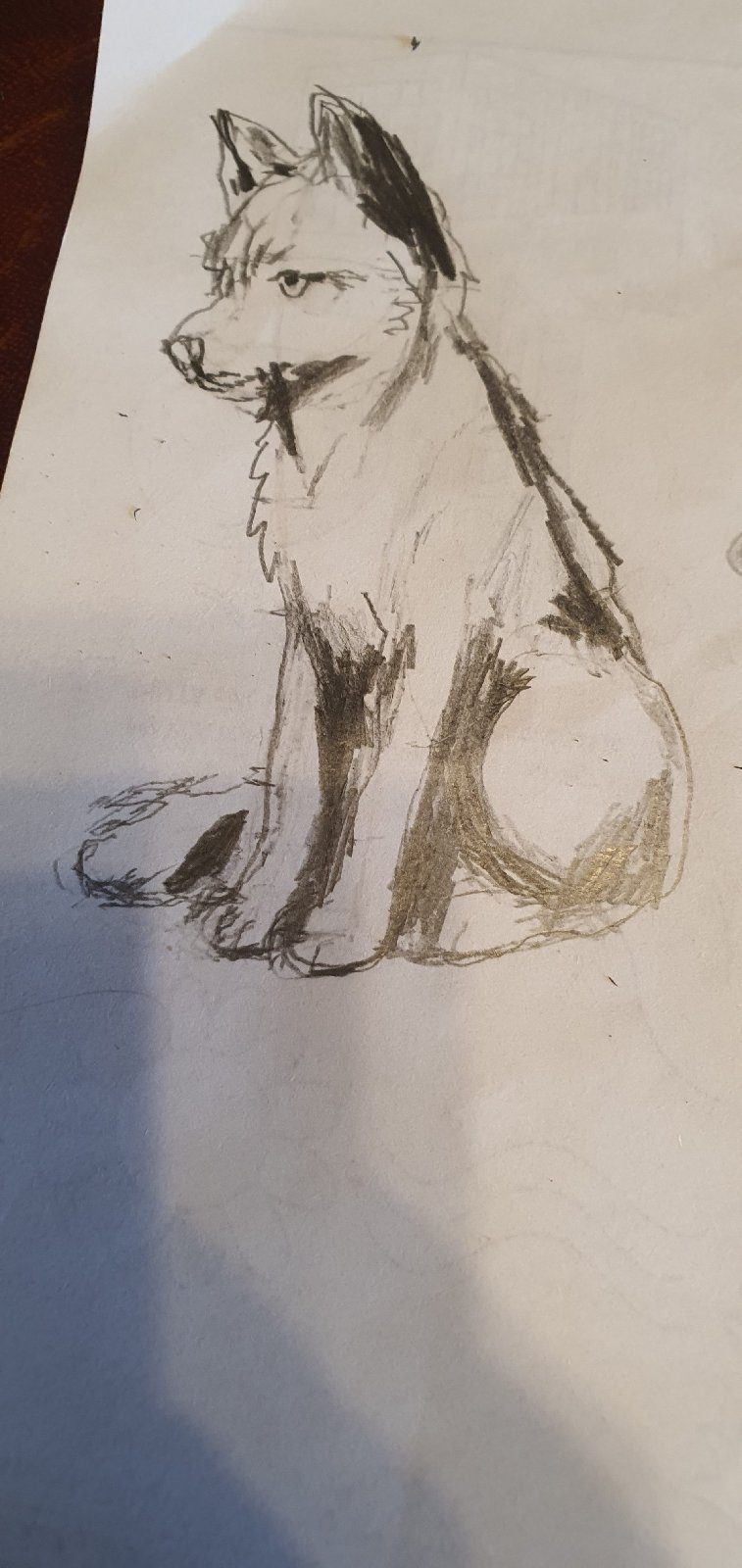Pencil sketch dog, drawn by zorro Garabato