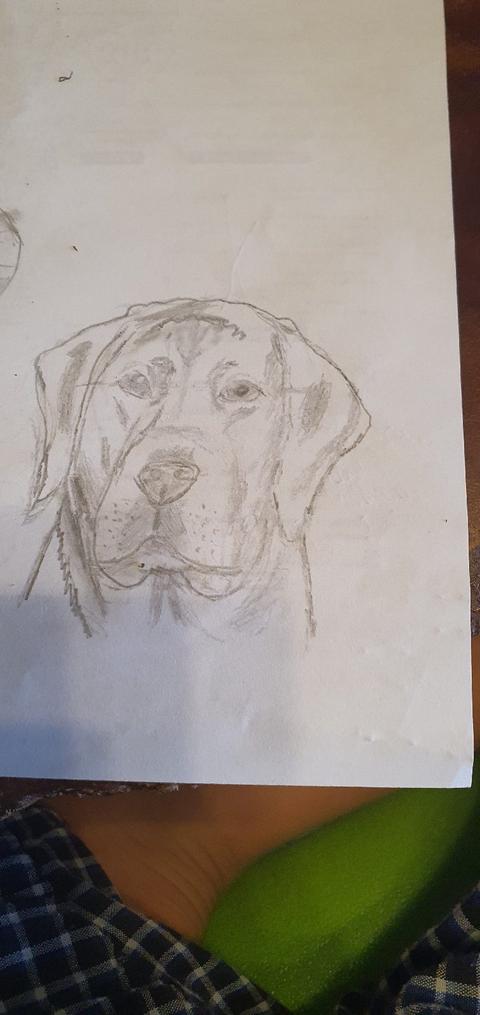 Drawing by zorro Garabato