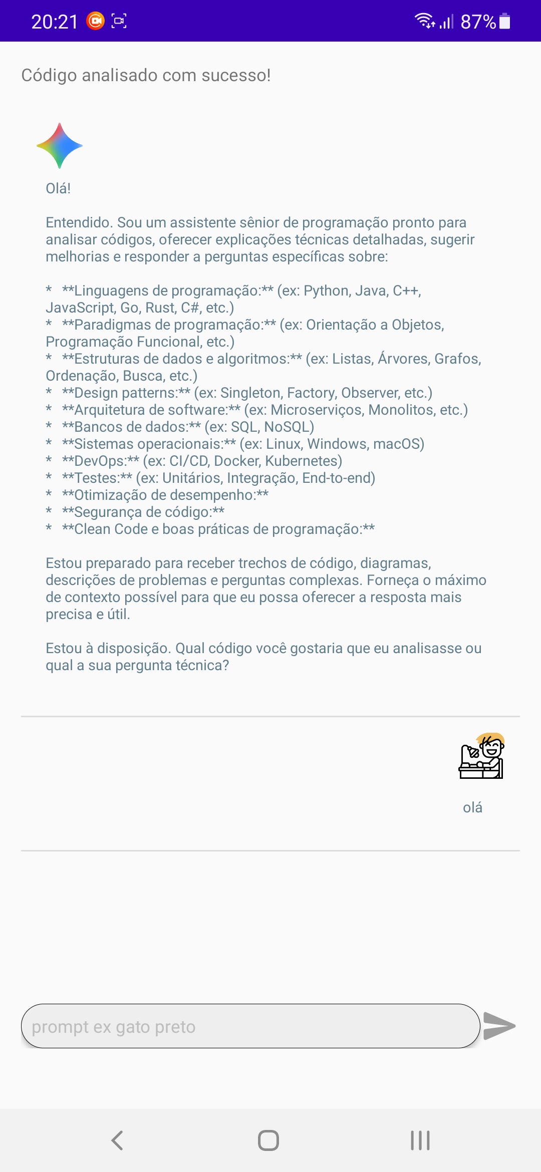 Gemini API assistente Funcional — captura de tela 2