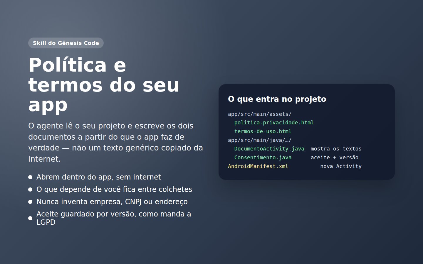 Skill Política e termos — captura de tela 1