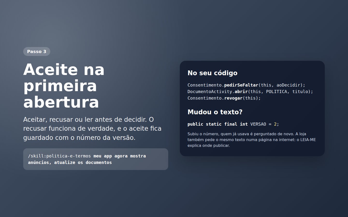 Skill Política e termos — captura de tela 3