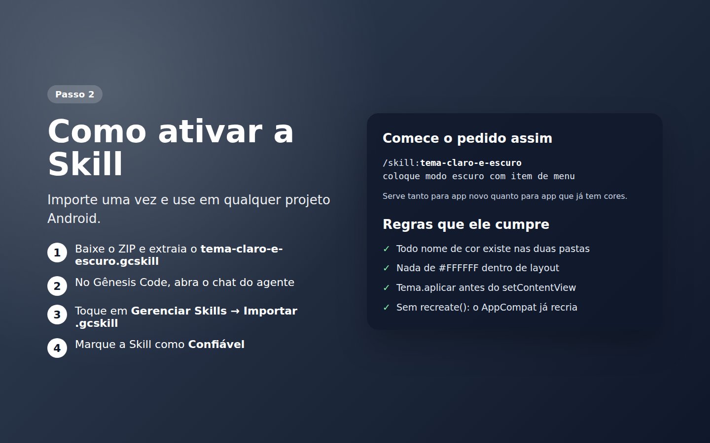 Skill Tema claro e escuro — captura de tela 2