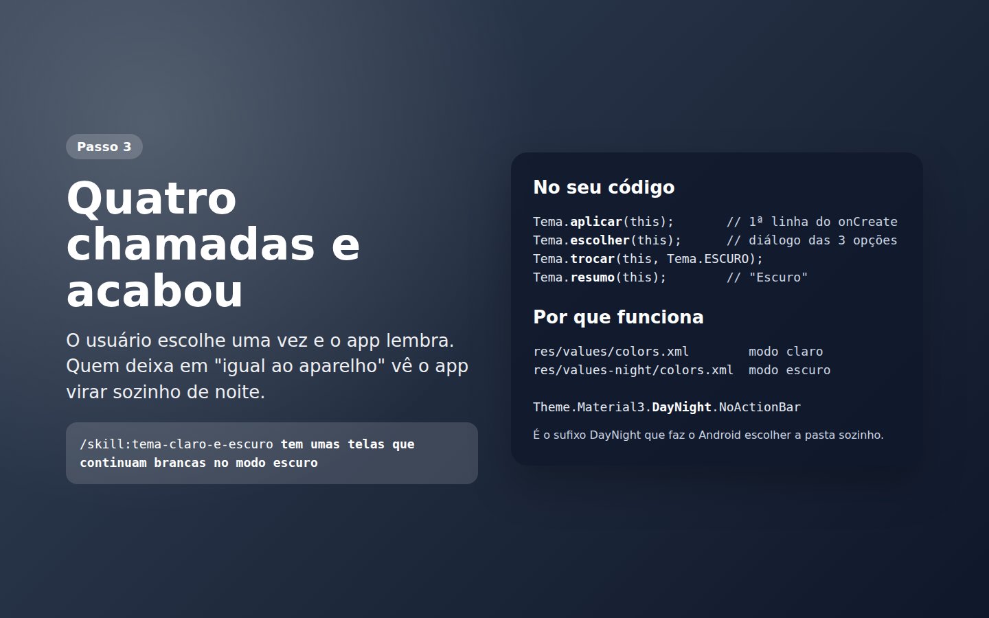 Skill Tema claro e escuro — captura de tela 3