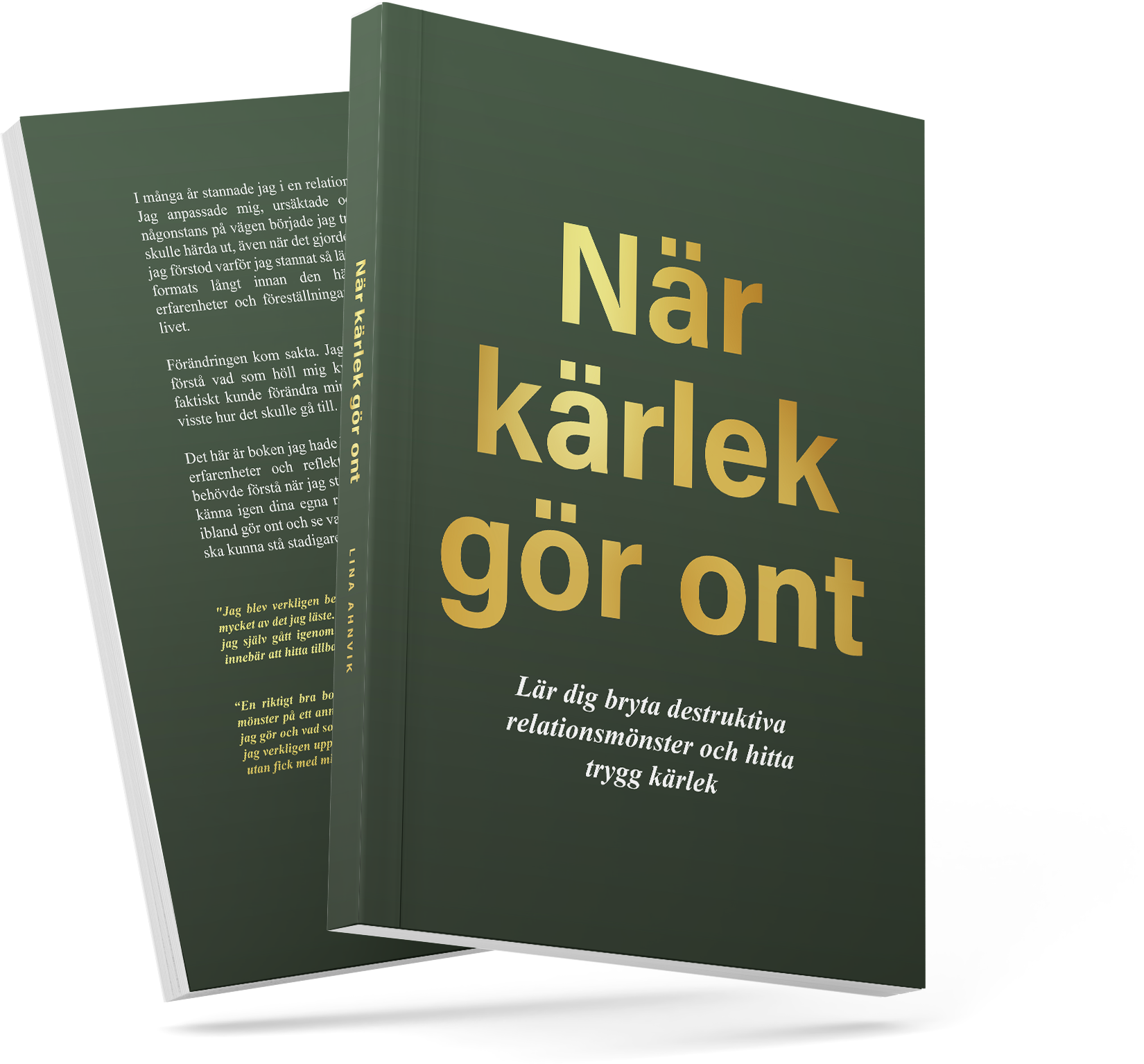 Boken När kärlek gör ont av Lina Ahnvik