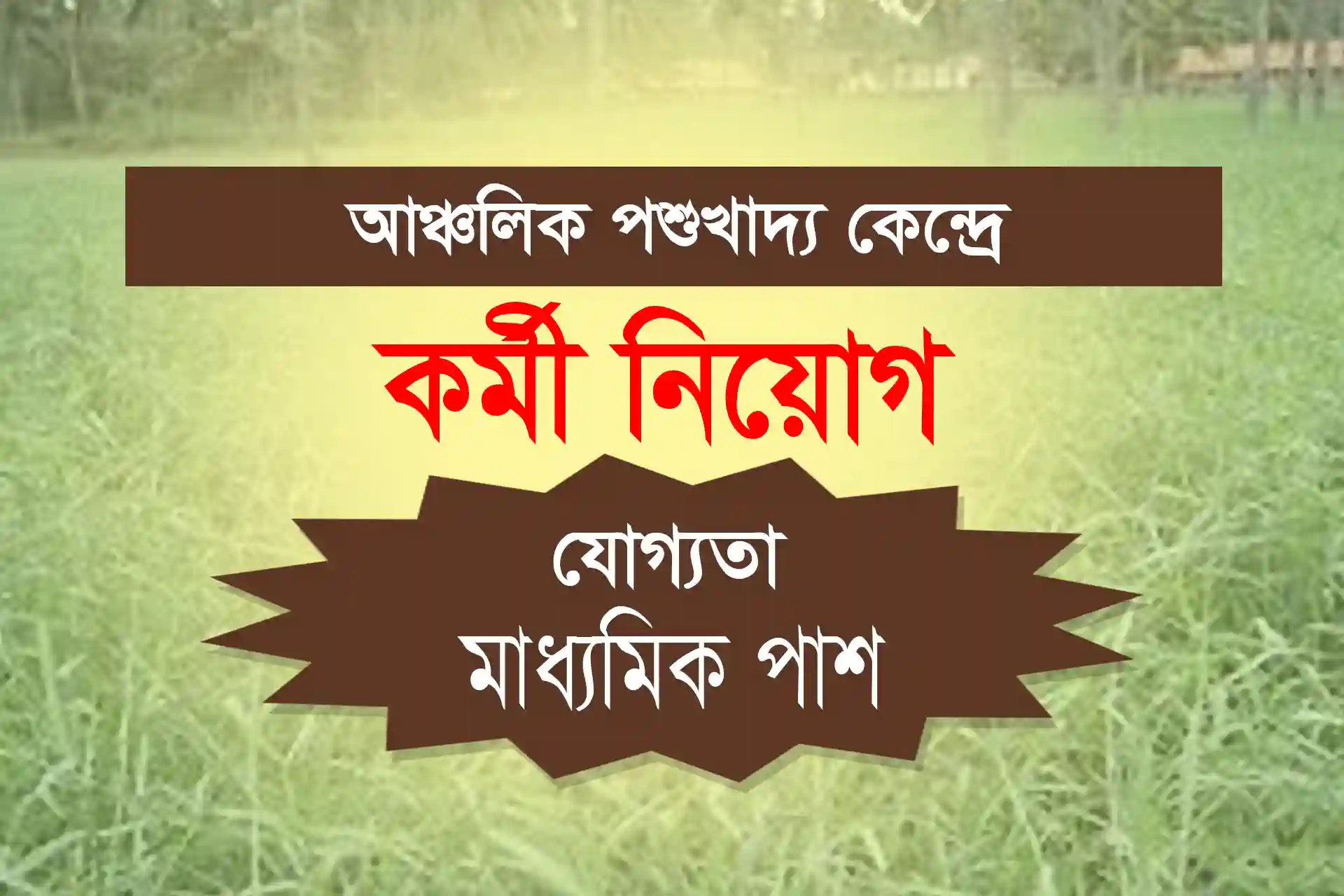 img/news-single-img/post-img-01.jpg