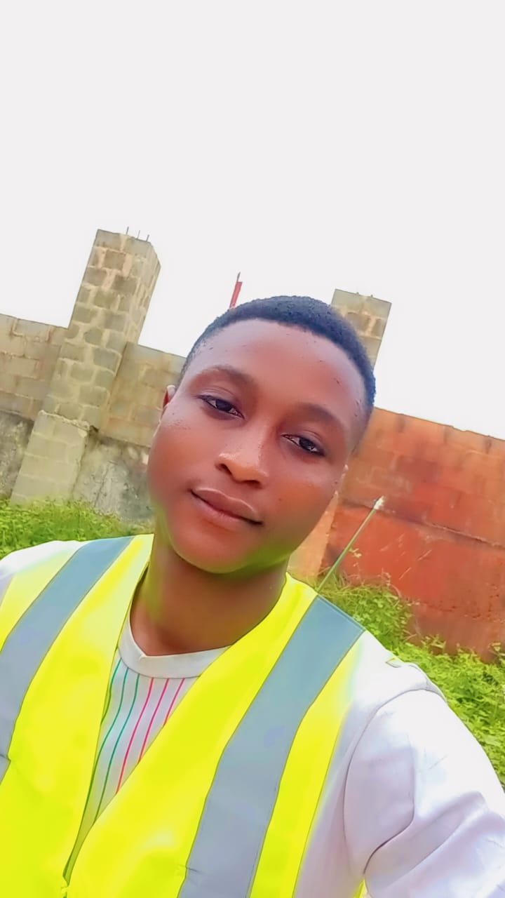 Charles electrical engineering limited public profile