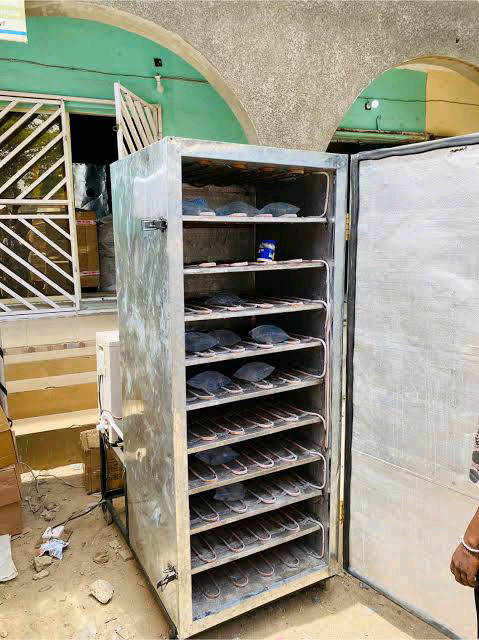 D light International Technical project 1