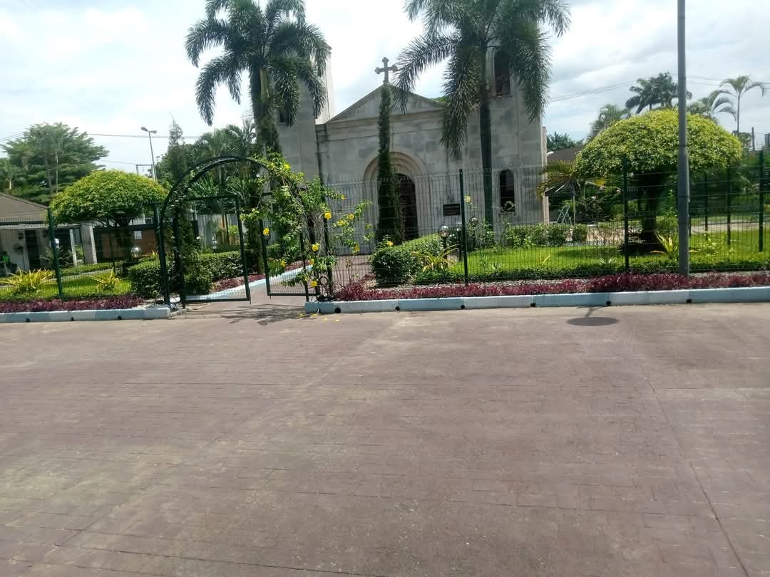 Emerald creations & Garden ltd project 6