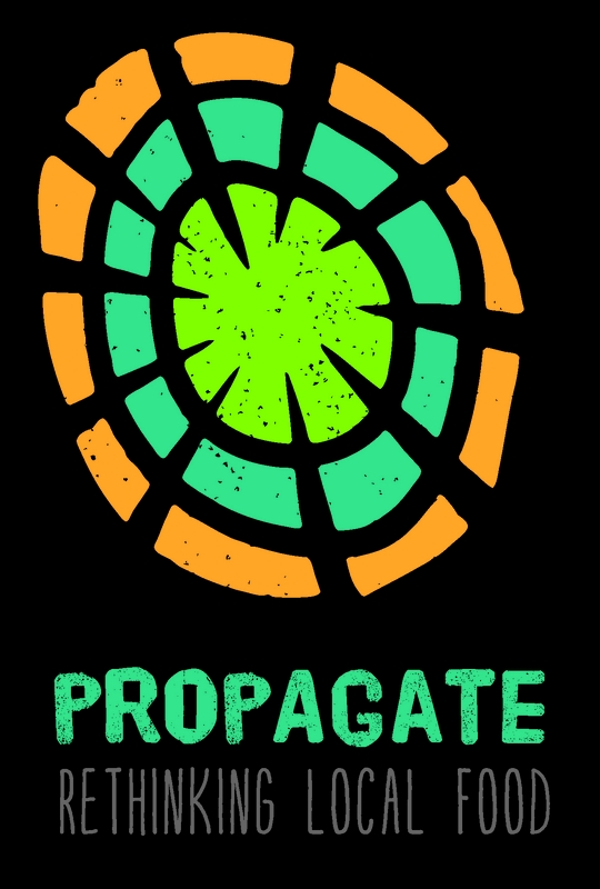 Provider Avatar