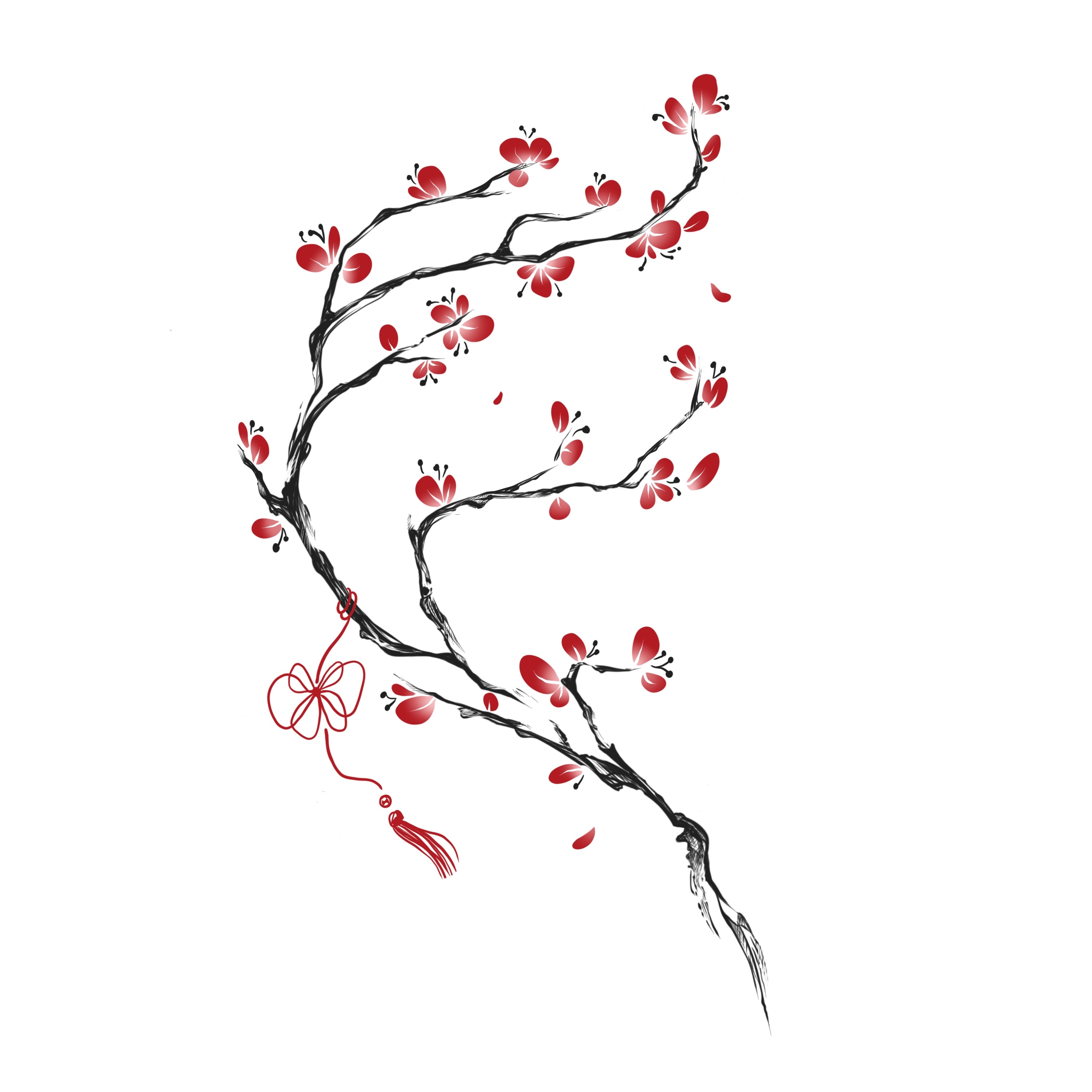 Plum blossom