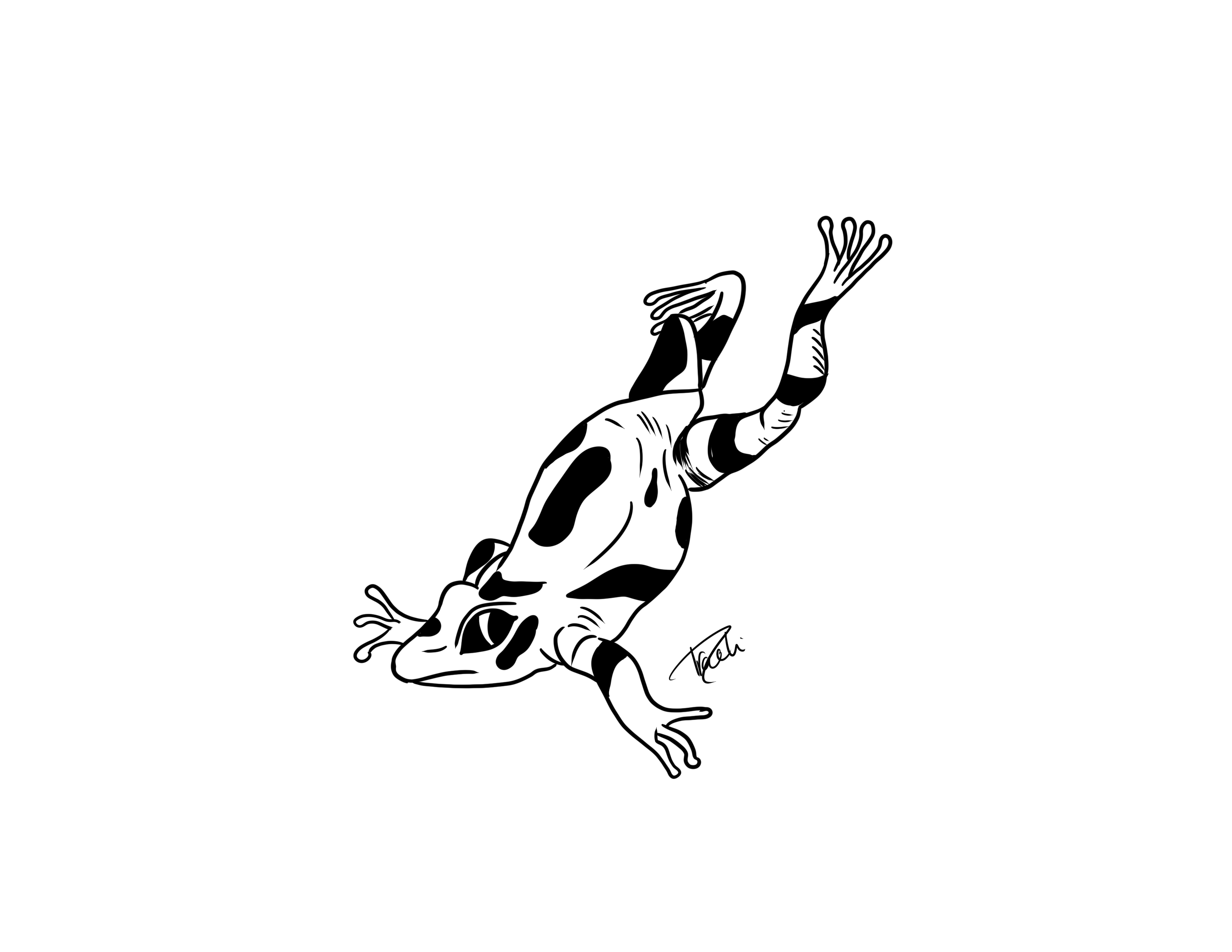 Frog 