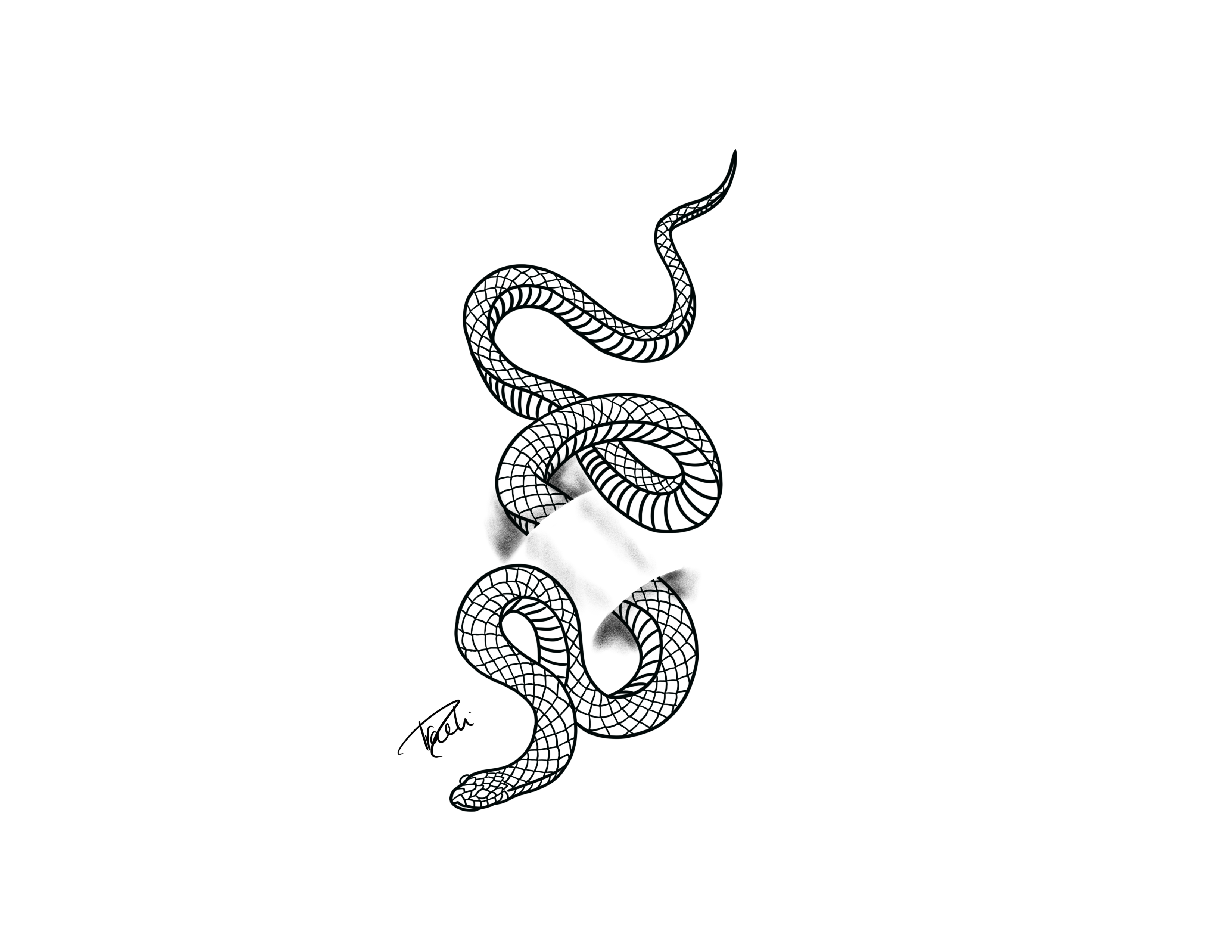 Snake in skin