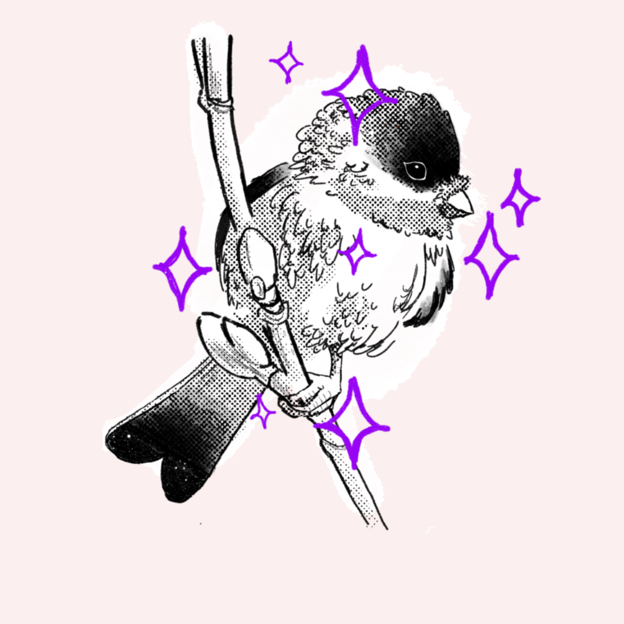 Chubby bird