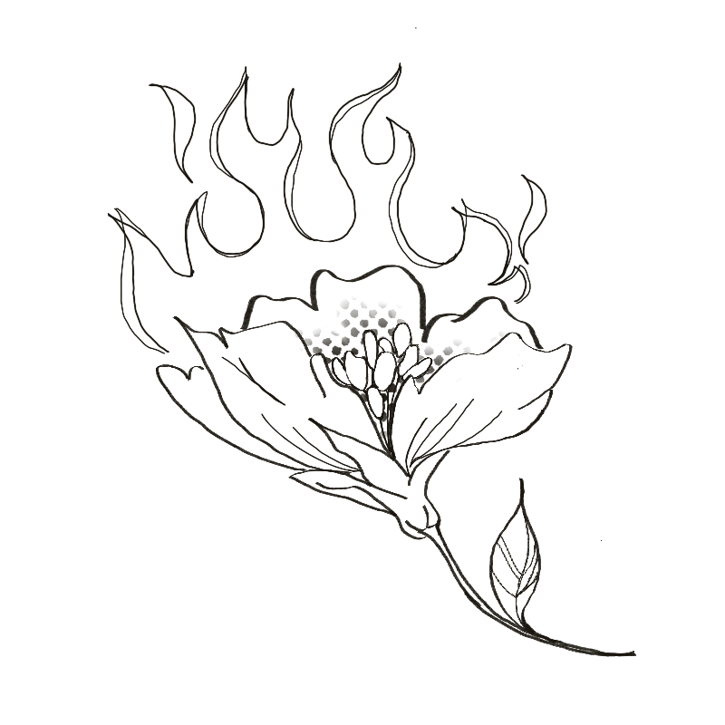 On fire