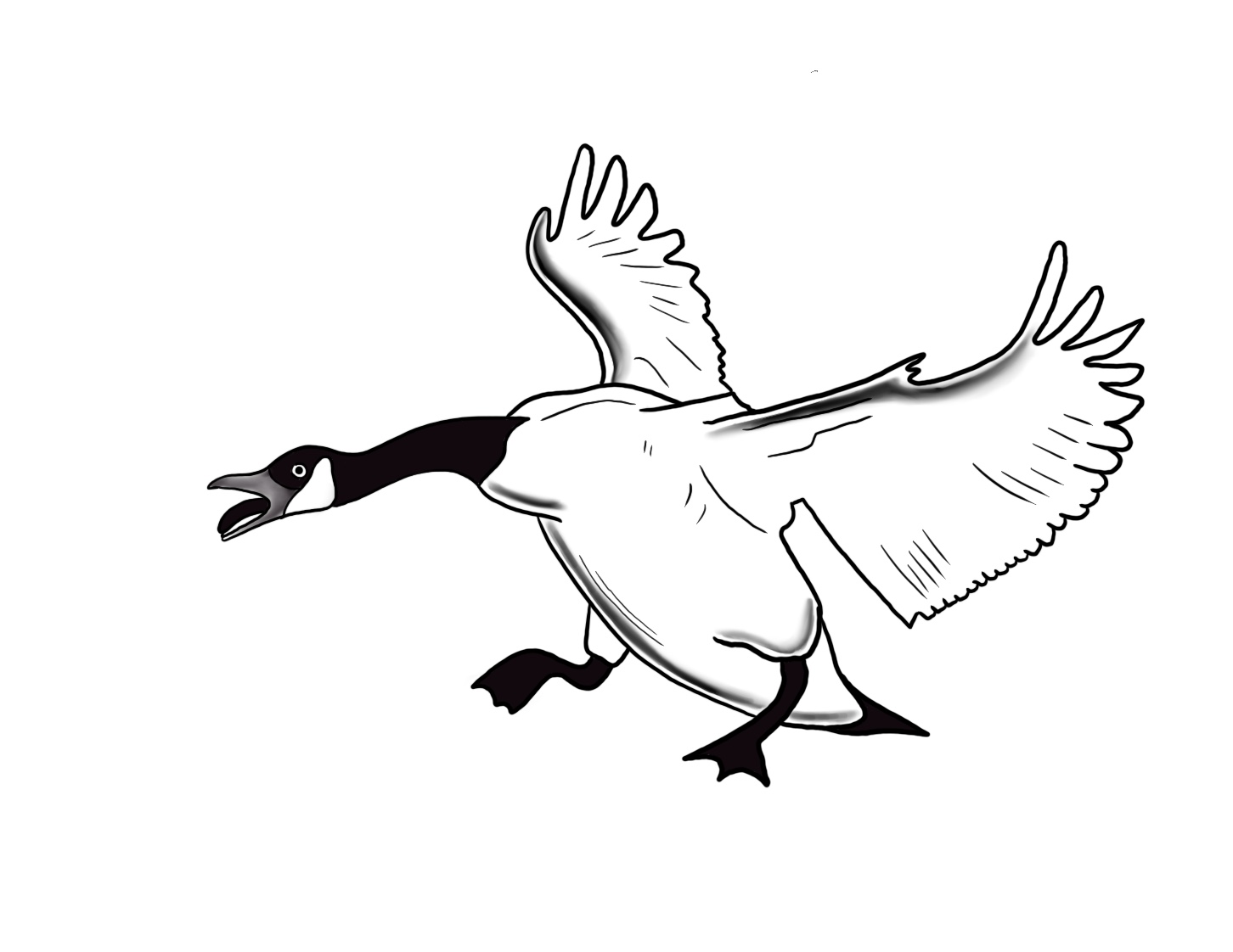 Angry Goose