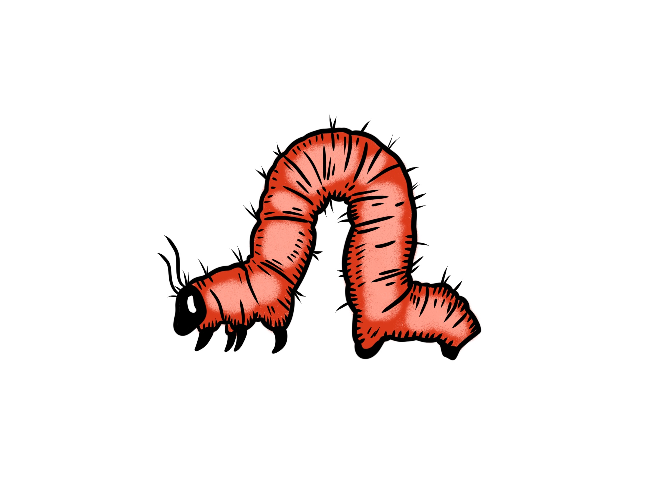 Caterpillar