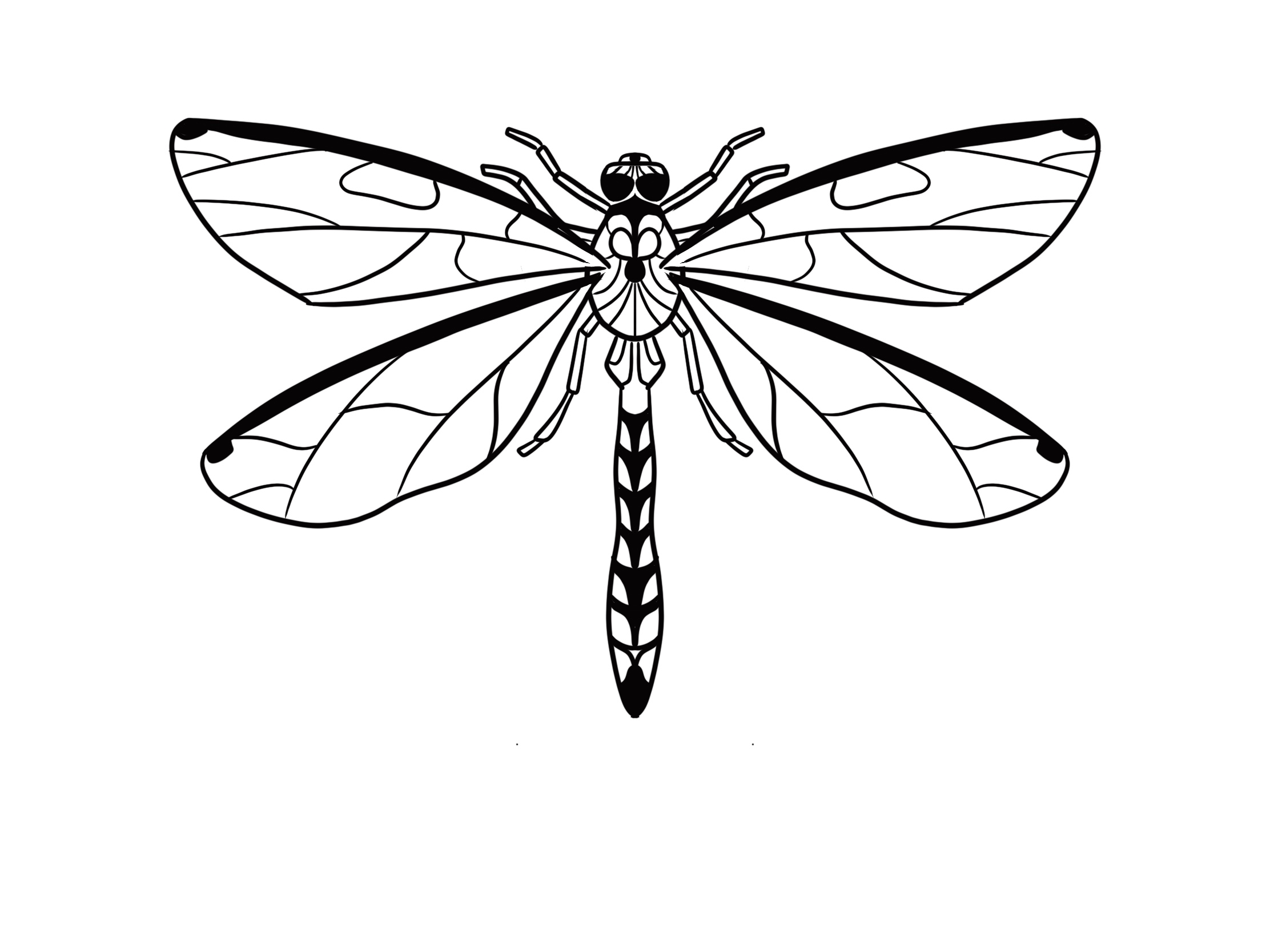 Dragon Fly