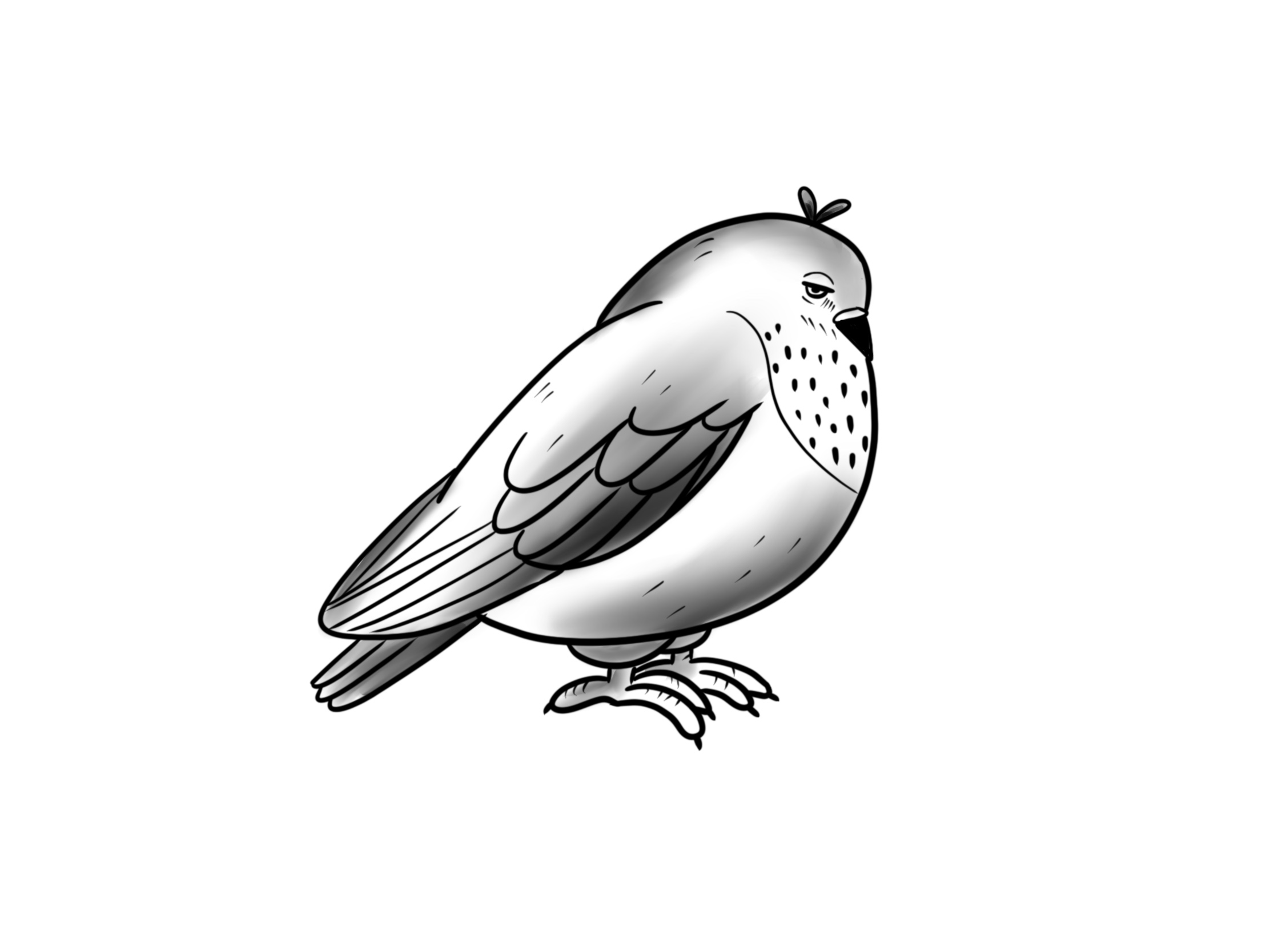 Angry Pigeon