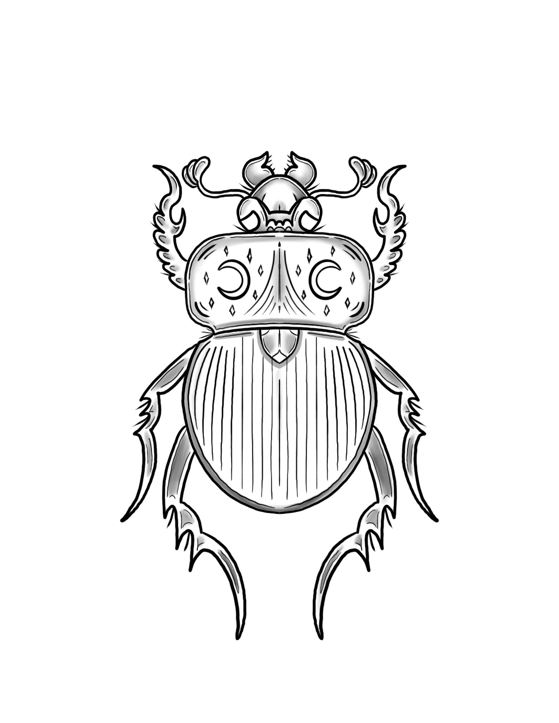 Moon Beetle