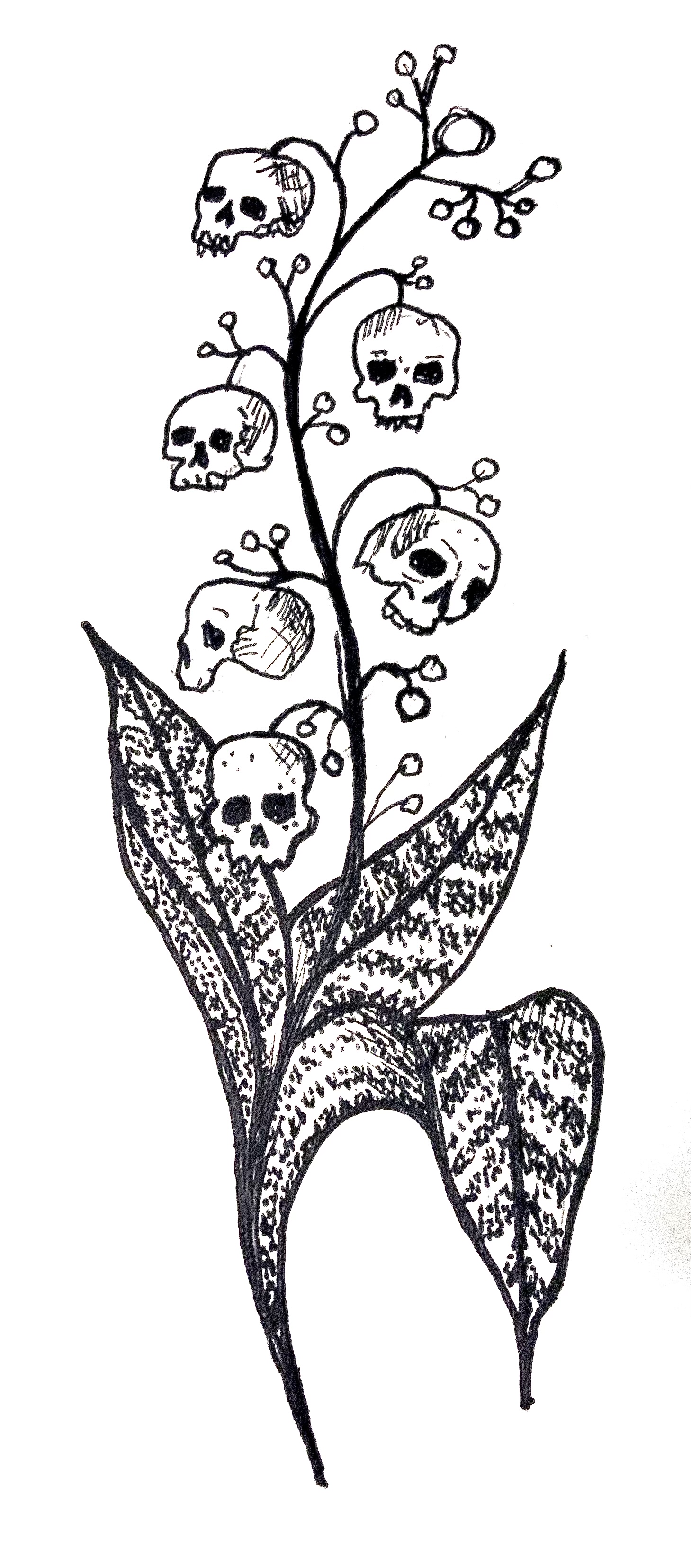 Skully-of-the-valley