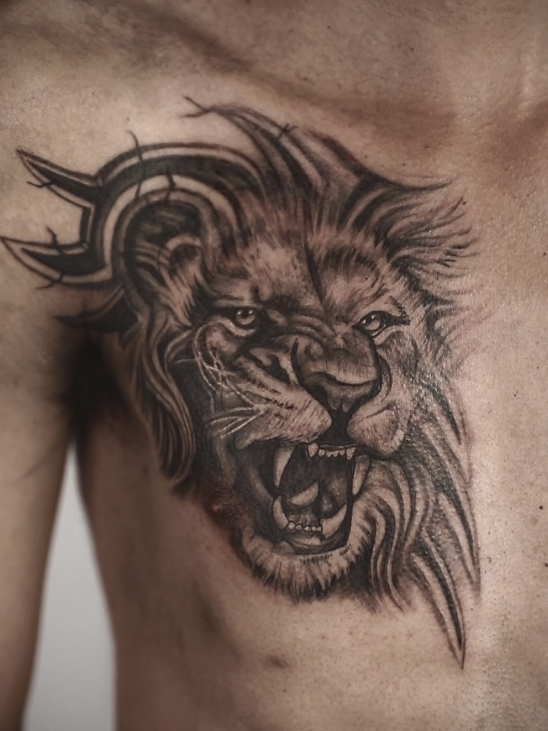 Lion photo