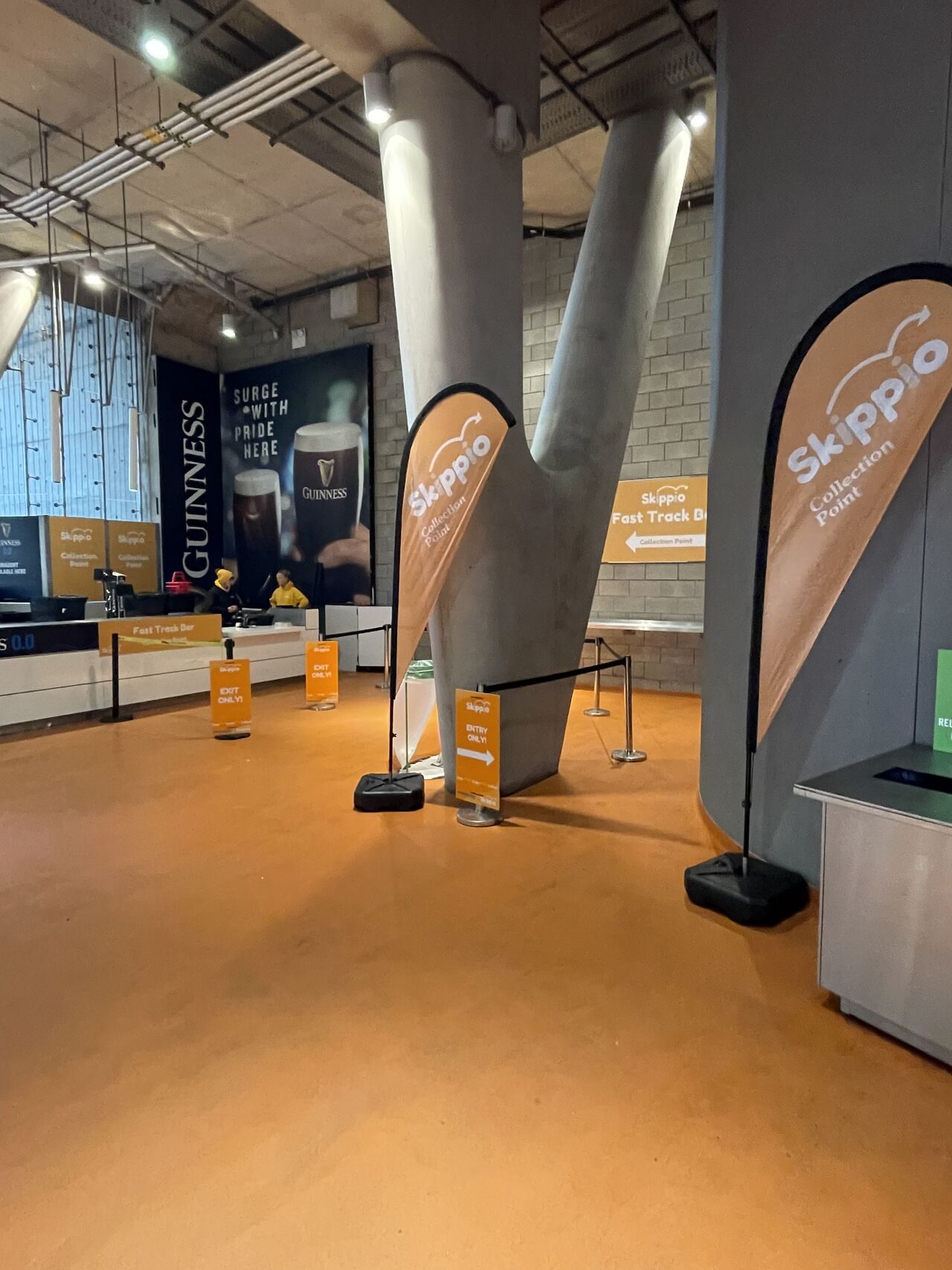 How Skippio grew at the Aviva Stadium