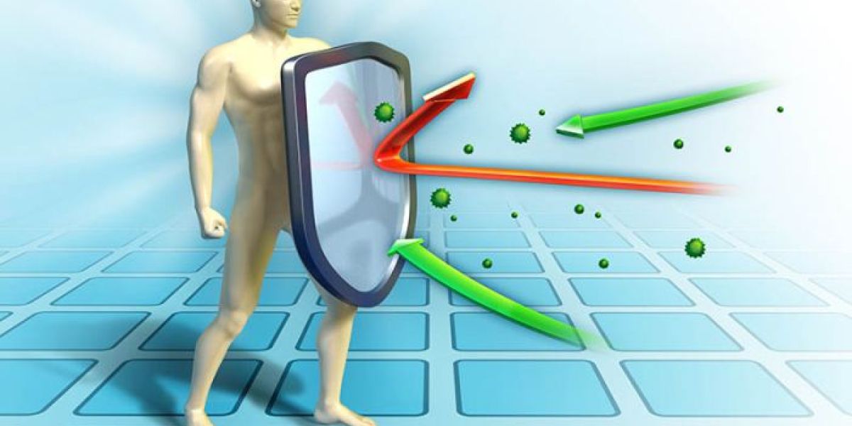 Hvordan fungerer immunforsvaret i kroppen vår?