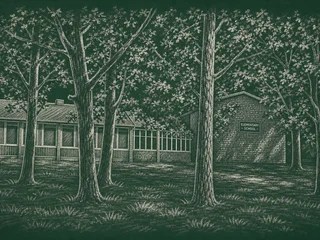 Chalkboard-illustration av Bergshamraskolan, Solna