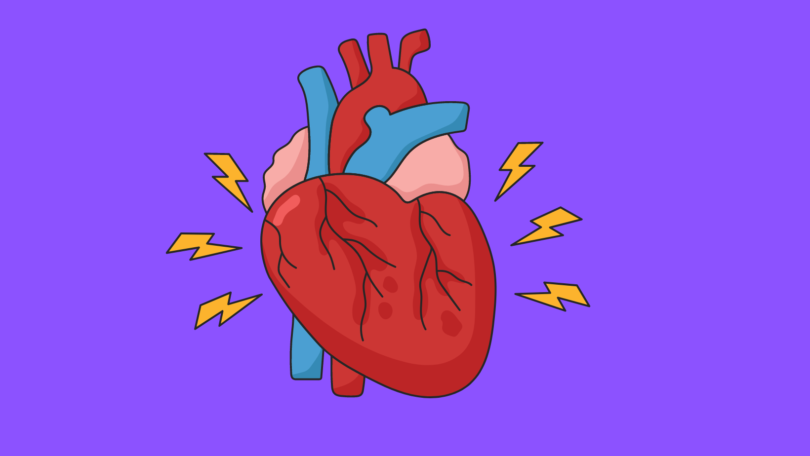 image of a heart