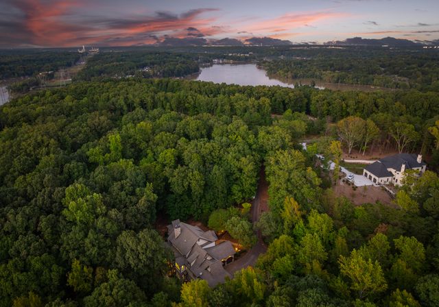 Sweetleaf Pl_Drone Twilight-05