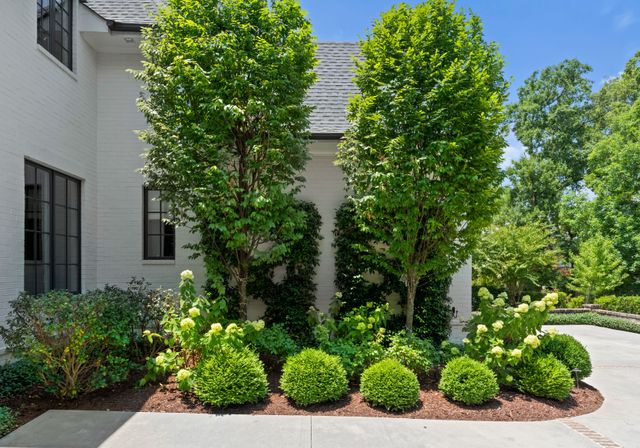 Front Gardens