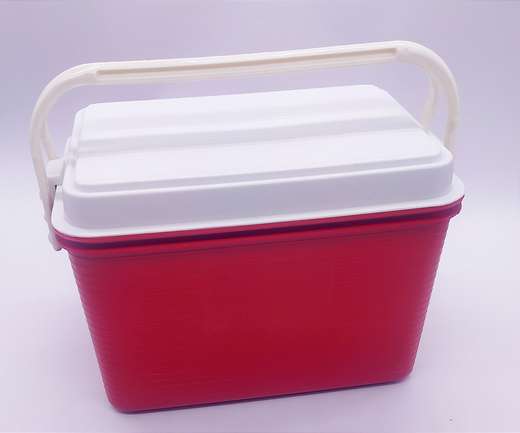 Hielera 9 Lts 000385
