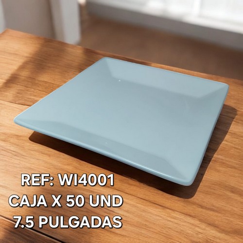 Plato Ceramico Rectangular 7.5 Pulgadas