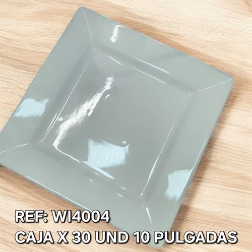 Platoplato Ceramico Rectangular 10 Pulgada