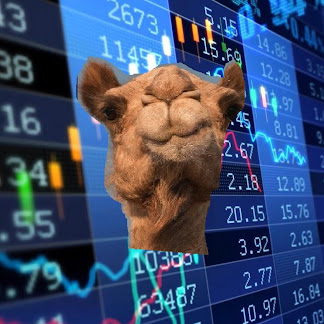 Camel