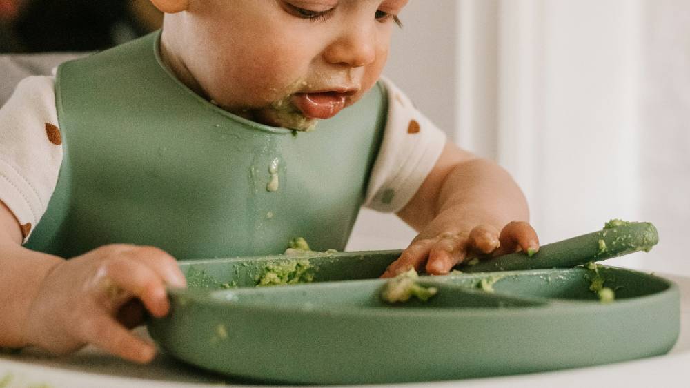 Feeding