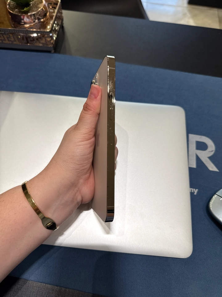 IPhone 13 Pro Max  - BATERIA NOVA📲