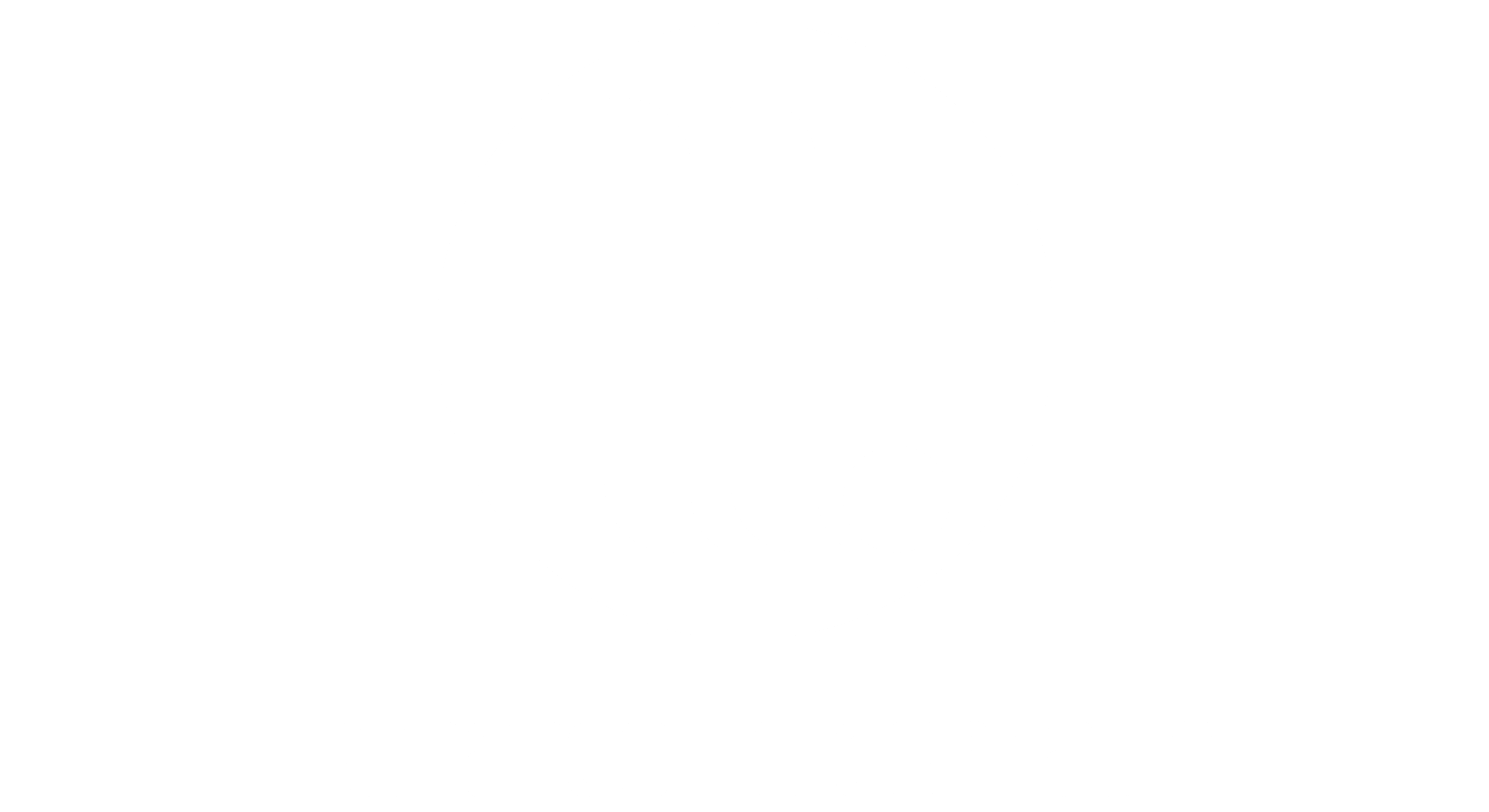 Leonardo Holderbaum