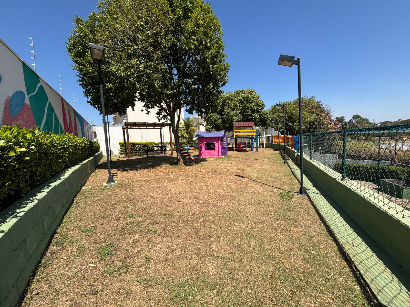 Próxima imagem