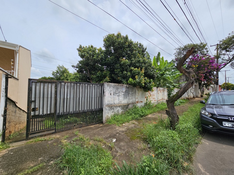 Imagem anterior