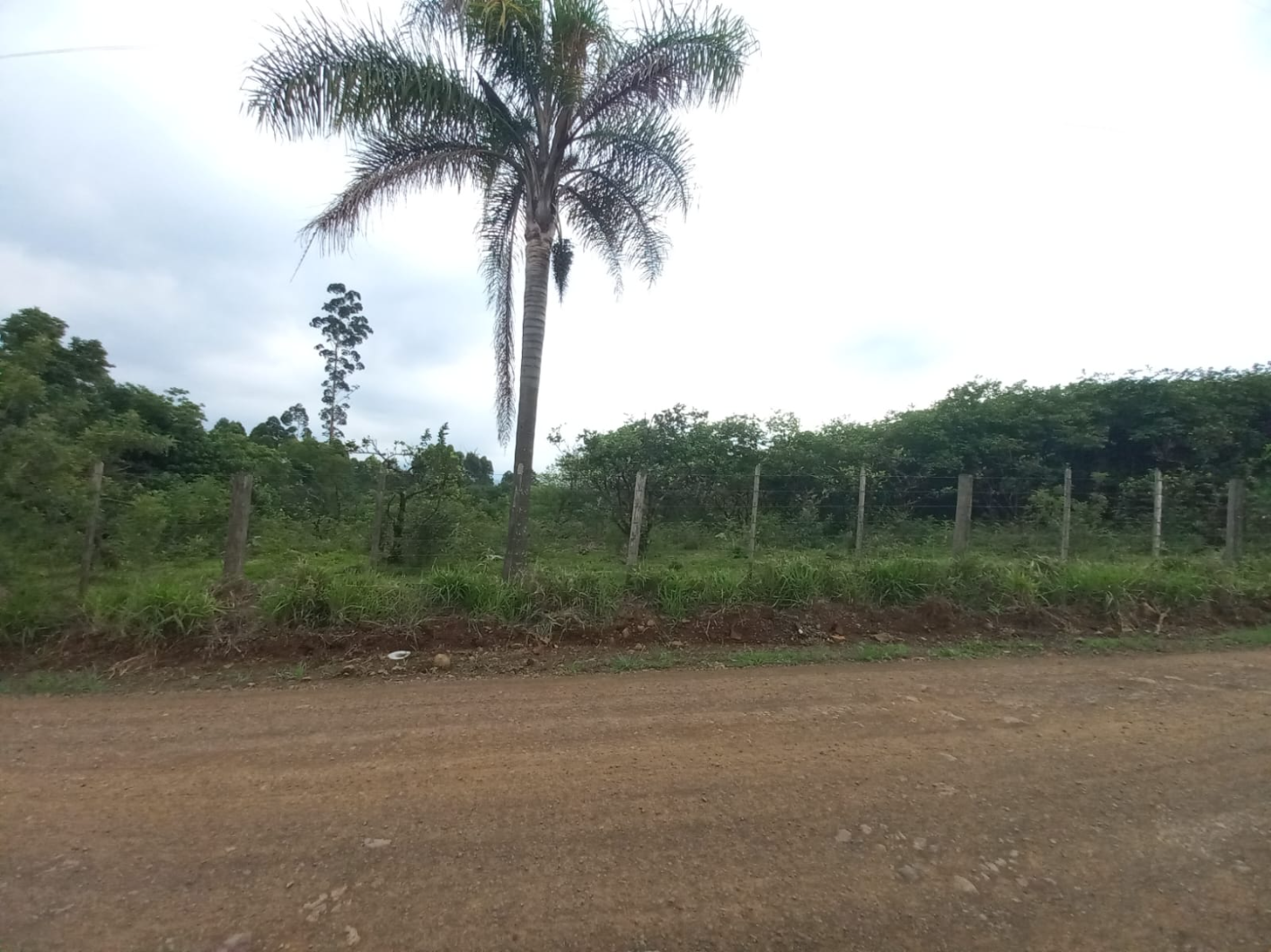 IMÓVEL #9092