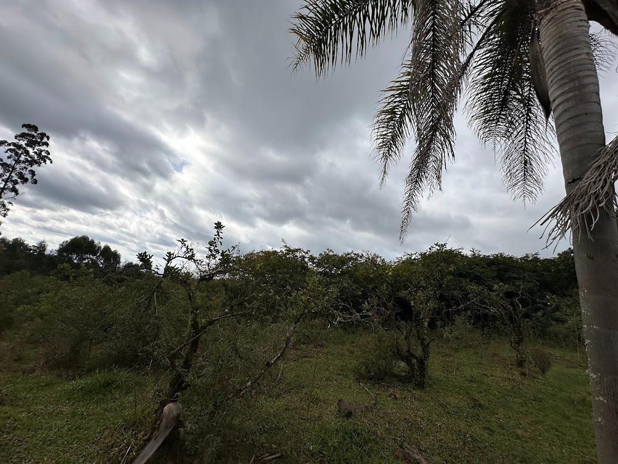 imóvel