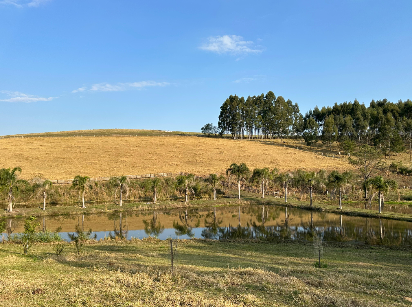 IMÓVEL 9354